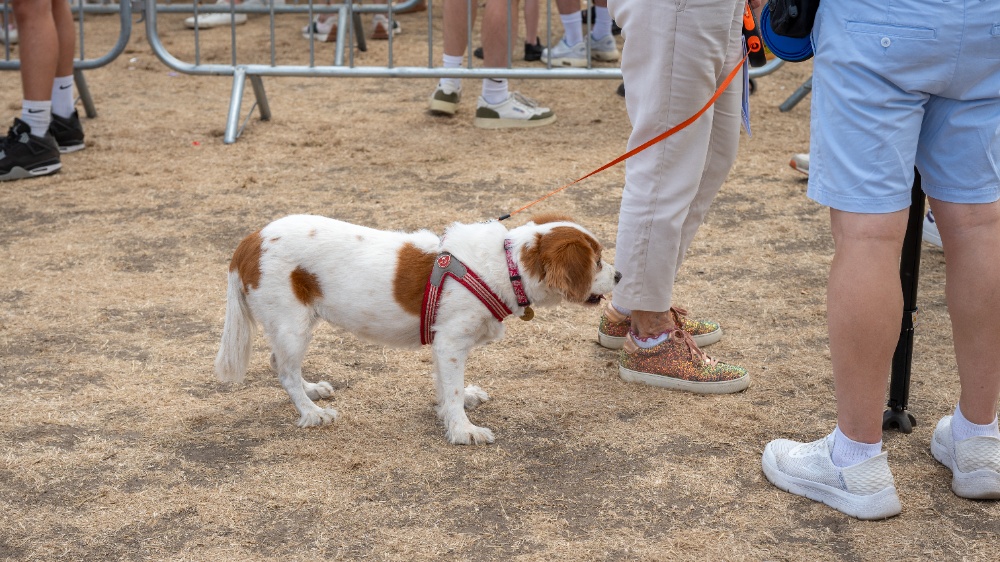 Uptown on Blackheath